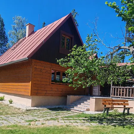 Near Forest Mlynceky