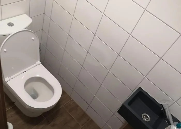 Near Forest Chalé *